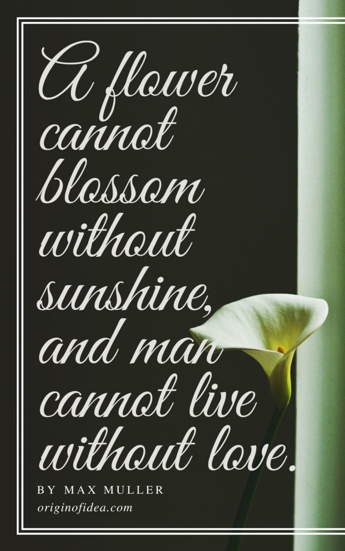 Love Quotes - A flower cannot blossom without sunshine, and man cannot live without love.