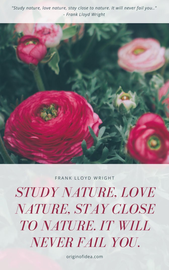 Love Quotes - Study nature, love nature, stay close to nature. It will never fail you.
