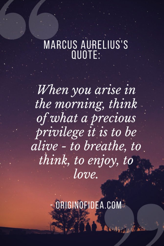 Love Quotes - When you arise in the morning, think of what a precious privilege it is to be alive - to breathe, to think, to enjoy, to love.