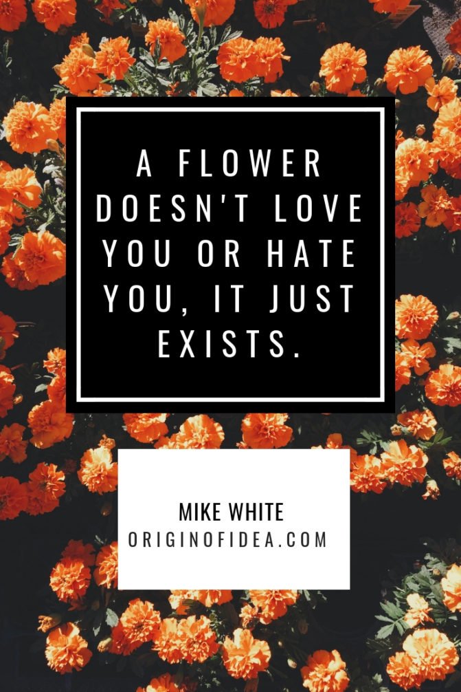 Love Quotes - A flower doesn't love you or hate you, it just exists.