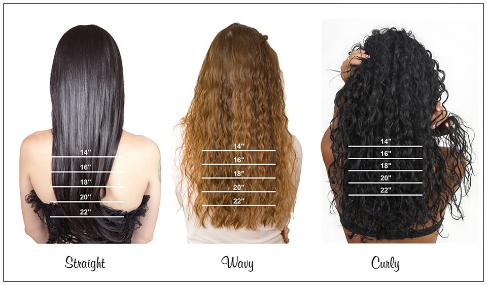 What is Hair? All About Hair Types, Structure, and Condition - Origin ...